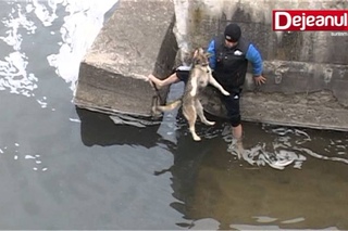 Храни Господь таких людей