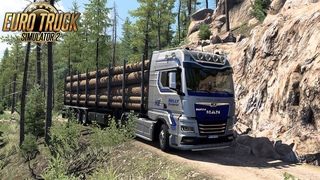 Хермерсбергерхоф – Хинтервайденталь (Германия) 🚚 MAN TGX  ✅ Kelly European