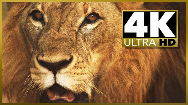 4 K ULTRA HD SAMPLER video Resolution Test, stock video HD vs 4