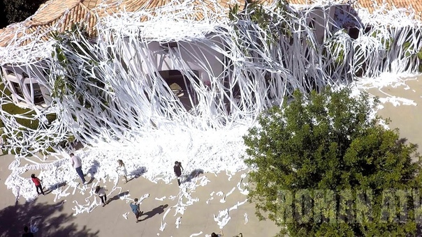 INSANE Toilet Paper