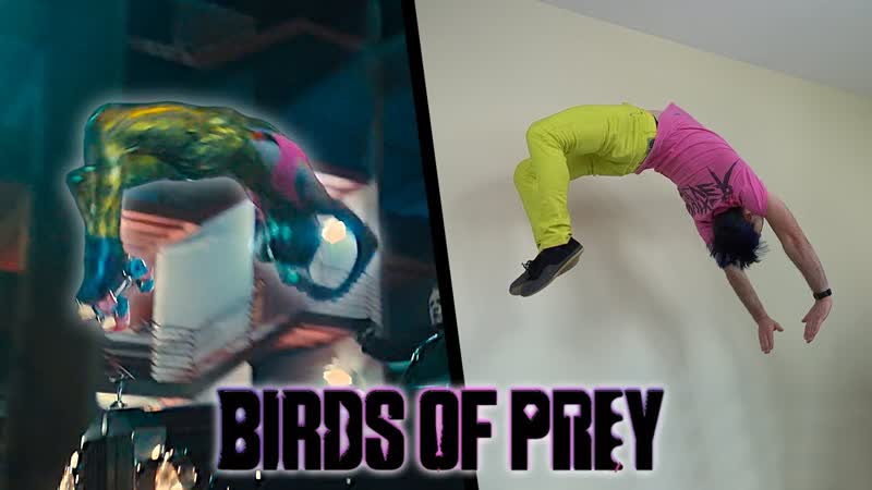Birds Of Prey Stunts In Real Life ( Harley