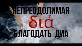Непреодолимая благодать ДИА. Сергей Шепелев.