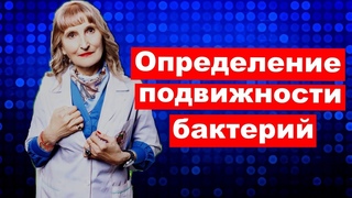 Определение подвижности бактерий