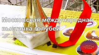 Александр Огнивцев. Видео 2024. Московская международная выставка голубей с участием ветеранов голубеводов Москвы в ЛФК ЦСКА.