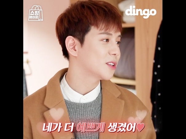 Dingo Style, Shopping Mate What If You Went Shopping for Pajamas with Daring Park