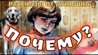 Почему  Рассказ, Валентины Осеевой | Поучительная и интересная история | Осеева рассказы