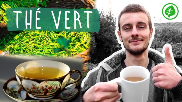 Le THÉ VERT : Boisson Miracle, Bienfaits