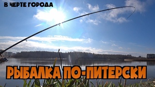 РЫБАЛКА НА ДУДЕРГОФСКОМ КАНАЛЕ. ОТКРЫТИЕ СЕЗОНА. ГУСТЕРА КЛЮЁТ БЕЗ ПЕРЕРЫВА, ДАЖЕ НАДОЕЛО ПОДСЕКАТЬ