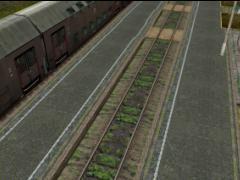 082: Platform Wierzchucin (0.30-2.8m) start1