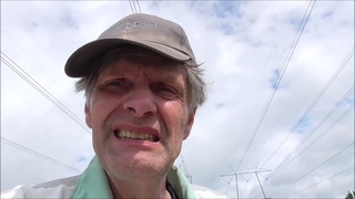 Lintukatoa Arto Lauri