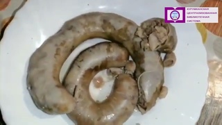 Мастер класс по приготовлению бурятской кухни   Хиимэ