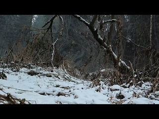 Зима в .