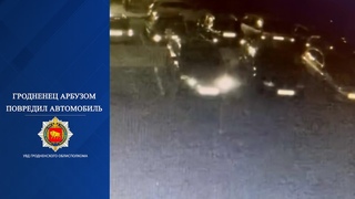 Гродненец арбузом повредил автомобиль