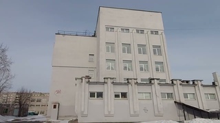 Гальянка ШКОЛА 81 и Политехническая гимназия улица Тагилстроевская Нижний Тагил