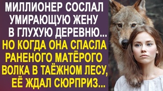 Миллионер сослал жену доживать в глухую деревню. Но когда она спасла волка в таёжном лесу...