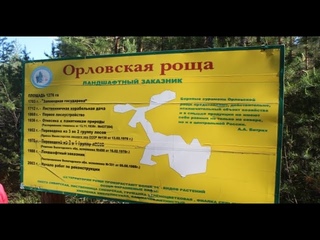 По Орловской роще