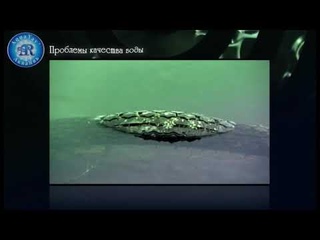Проблемы качества воды