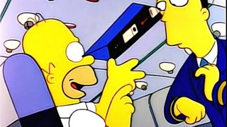 Exigências do Homer em Voo