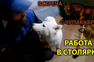 Работа в столярке.  Встреча с чупакаброй. День в деревне