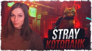 STRAY — ПОЛНОЕ ПРОХОЖДЕНИЕ НОВИНКИ • КОШАЧИЙ КИБЕРПАНК