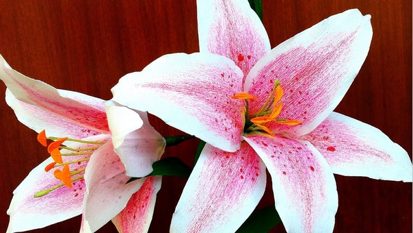 how to make Easy Paper Flowers Oriental Lily (flower,