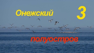 Онежский полуостров, 3 серия