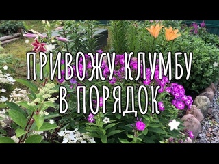 Привожу клумбу перед домом в порядок
