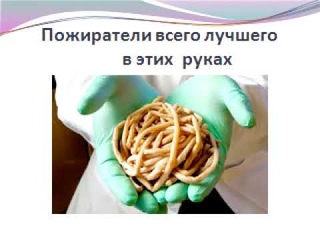 2 эффективных варианта очиститься от всякой нечисти - Людмила Шевченко