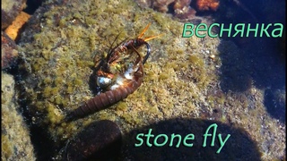 Мушка веснянка stone fly для ловли хариуса и ленка
