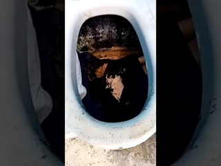 Парень спрятался в яме под уличным туалетом Где это снято и когда неизвестно.