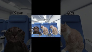 A classic holiday #cat #fypシ゚viral #meme #relatable #viral #pov #fyp