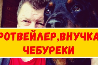 РОТВЕЙЛЕР,ВНУЧКА И ЧЕБУРЕКИ.влог 58.воспитание и дрессировка ротвейлера.