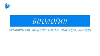 10 класс - Биология - Органические вещества клетки. Углеводы, липиды