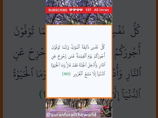 303185  memorize Quran  surat Al   ’Imran 185 185 #shorts @quranforalltheworld #pakistan