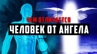 Чем ЧЕЛОВЕК отличается от АНГЕЛА - Мудрость сотворения Адама