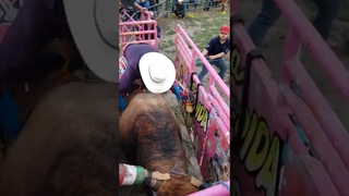 jaripeo extremo al 100%