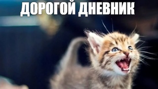 ДОРОГОЙ ДНЕВНИК...