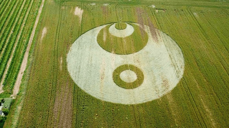 NUOVO CERCHIO NEL GRANO Cascina San Michele, Capriano, Italia Taygeta