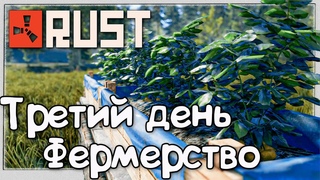 Третий День Выживания в Rust  Фермерство