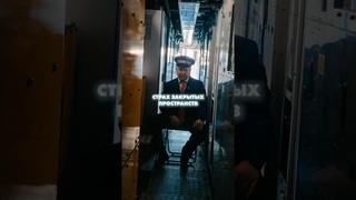 Самое страшное видео от машиниста поезда #Рабочийкласс #бруер #машинист #ржд