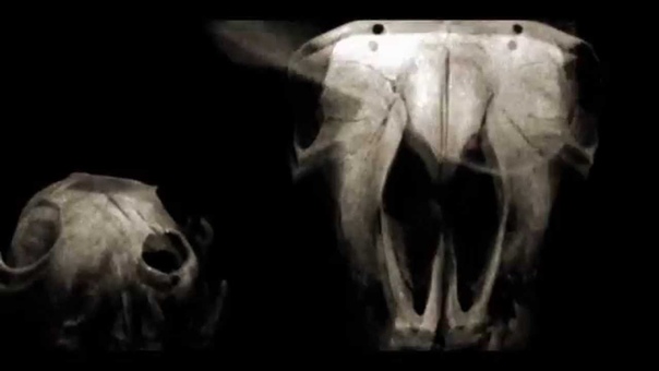 CURSE UPON A PRAYER Rotten Tongues ( Anti Islamic Black
