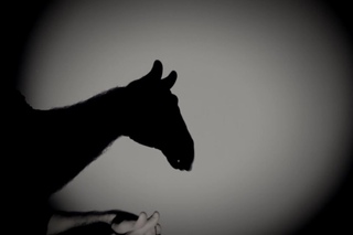 Театр тіней-рук | TINIVO from Ukraine | Hand Shadow Show