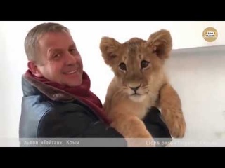 Львенок Зара и Олег Зубков. Тайган. Крым. Lion cub Zara and Oleg Zubkov. Taigan Crimea.