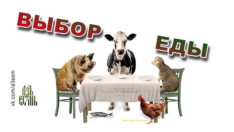 Выбор еды ( Food Choices) озвучка