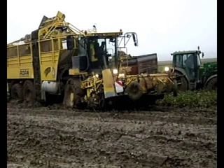 Arrachage de betteraves trs difficile, engravement Ropa Tiger