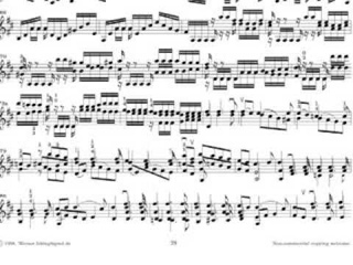 J.S. BACH - Ciaccona, MICHAEL VAIMAN