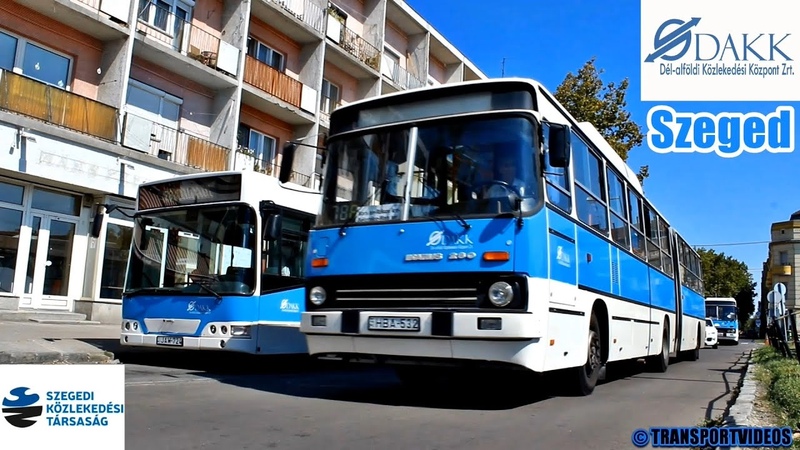 Buszok