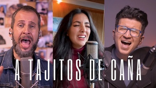 A tajitos de caña