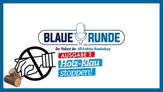 Holz-Klau stoppen! | Die Blaue Runde, Ausgabe 2