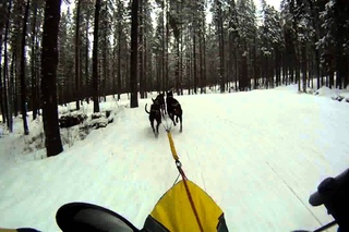 Сампо 2015. День второй. 6 км.